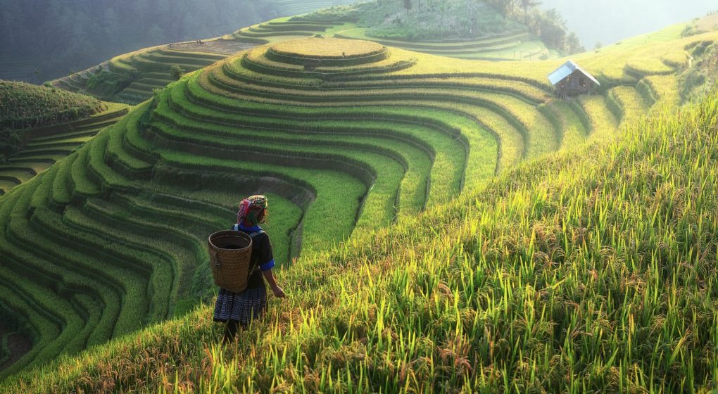 Your Ultimate Travel Guide for Traveling to China