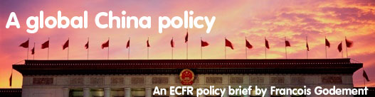 欧洲对外关系委员会专家顾德明：全球中国政策